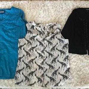 Womens XL Bundle. Mododoc, Roz&Ali, Croft&Barrow